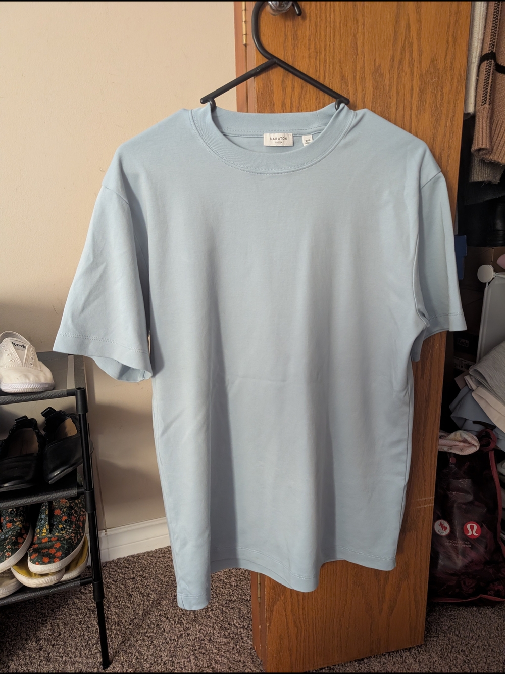 Aritzia Babaton Pegasus Tee
